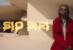 VIDEO Dogo Janja – Sio Siri (Official Video Cover 2026)