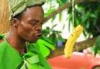 VIDEO Harmorapa – Karibu bongo (Official Video Cover 2026)