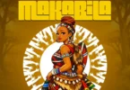 Wiz Chidy - Makabila (Official Audio Cover 2026)