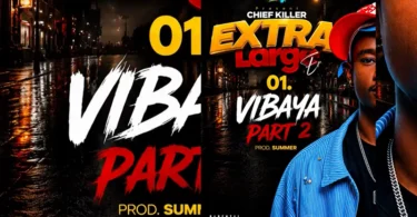 Chief Killer-- Vibaya Part 2 (Official Audio Cover 2026)