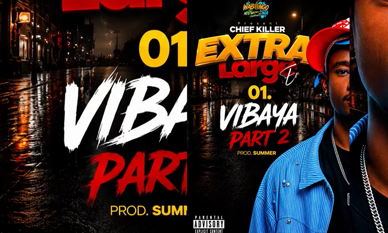 Chief Killer-- Vibaya Part 2 (Official Audio Cover 2026)