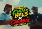 Chin Bees Ft. Cannibal - Kill It Now (Official Audio COver 2026)