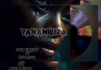 Don breezy Ft. Mc lana - Yananiliza (Official Audio Cover 2026)