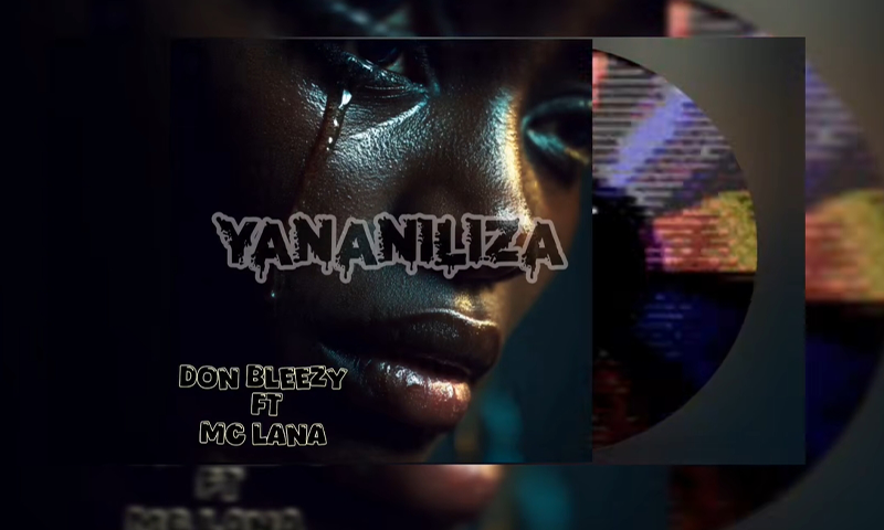 Don breezy Ft. Mc lana - Yananiliza (Official Audio Cover 2026)