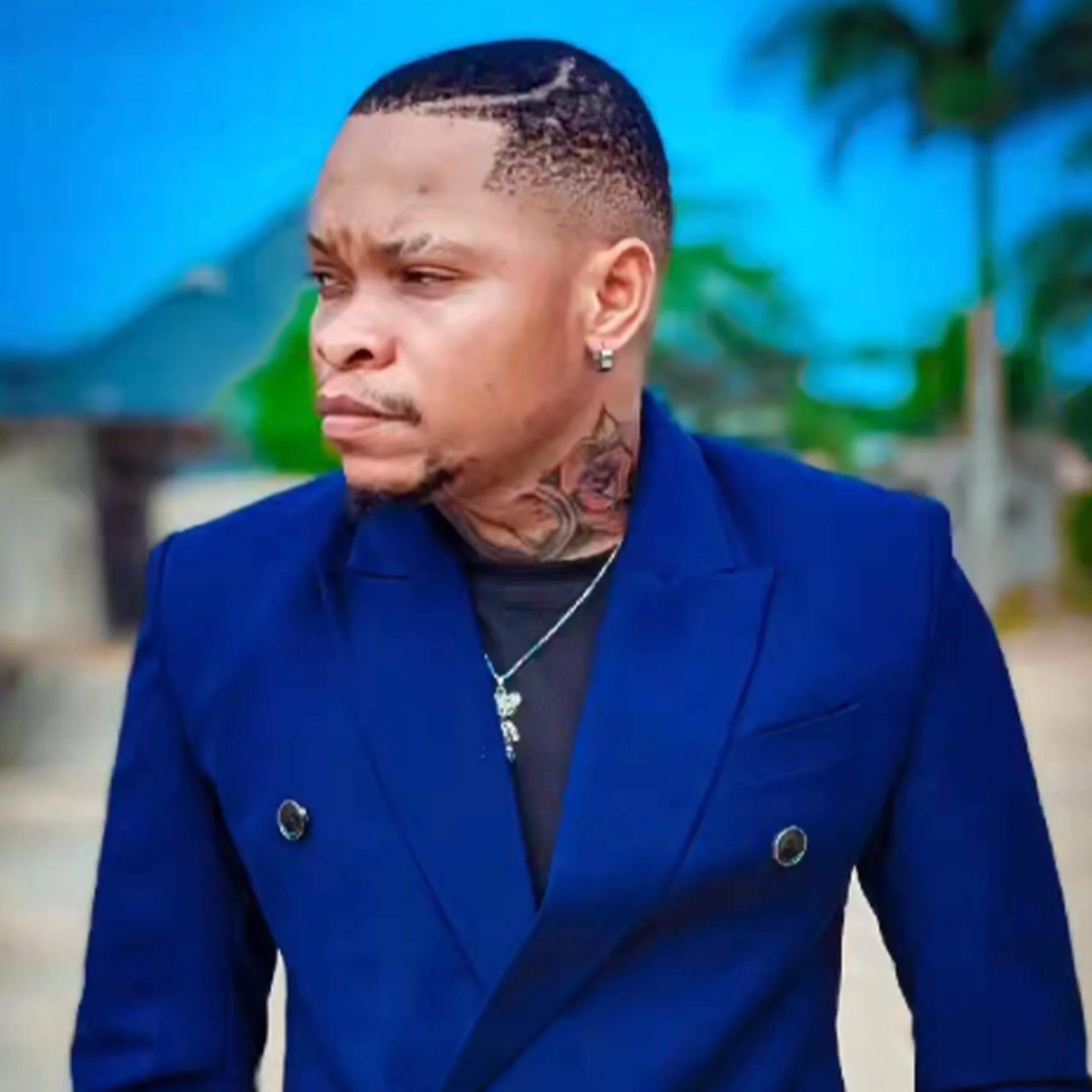 Mavoicetz – Video call (Official Audio Cover 2026)
