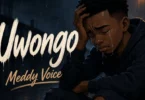 Meddy Voice – Uwongo (Official Audio Cover 2026)