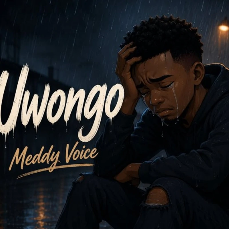 Meddy Voice – Uwongo (Official Audio Cover 2026)
