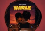 Nissah Ft. Vaddkid – Naanzaje (Official Audio Cover 2026)