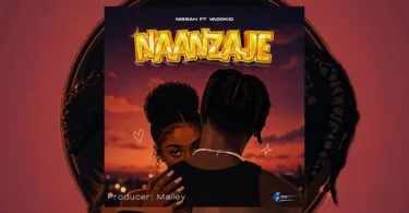 Nissah Ft. Vaddkid – Naanzaje (Official Audio Cover 2026)