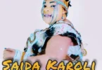 Saida Karoli – Diana (Official Audio COver 2026)
