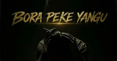 Salu Bee - Bora Pekee Yangu (Official Audio Cover 2026)