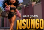 Skoja Melody - Msungo (Official Audio Cover 2026)