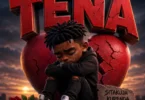 Vanny Tozy Ft. Teve G Son - TENA (Official Audio Cover 2026)