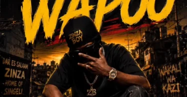 Zinza boy - Wapoo (Official Audio Cover 2026)