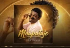 Climax Bibo – Mnapataje (Official Audio Cover 2026)