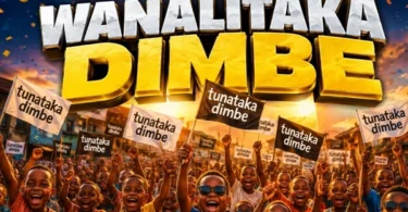 DJ One tz - Wanataka Dimbe Haooo Singeli Beat (Official Audio Cover 2026)