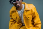DNasse – Selina (Official Audio Cover 2026)