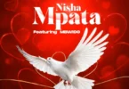 Don Breezy Ft. Mbwido – Nishampata (Officia Audio Cover 2026)