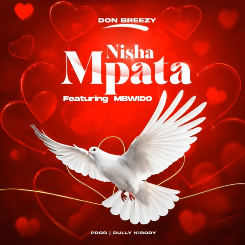 Don Breezy Ft. Mbwido – Nishampata (Officia Audio Cover 2026)