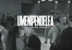 Dr. Ipyana – Umenipendelea (Is not My Effort) (Official Audio Cover 2026)