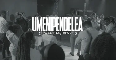 Dr. Ipyana – Umenipendelea (Is not My Effort) (Official Audio Cover 2026)