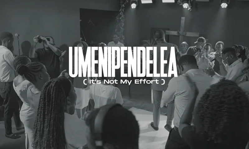 Dr. Ipyana – Umenipendelea (Is not My Effort) (Official Audio Cover 2026)