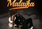 Madini - Malaika (Official Audio Cover 2025)