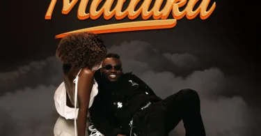 Madini - Malaika (Official Audio Cover 2025)