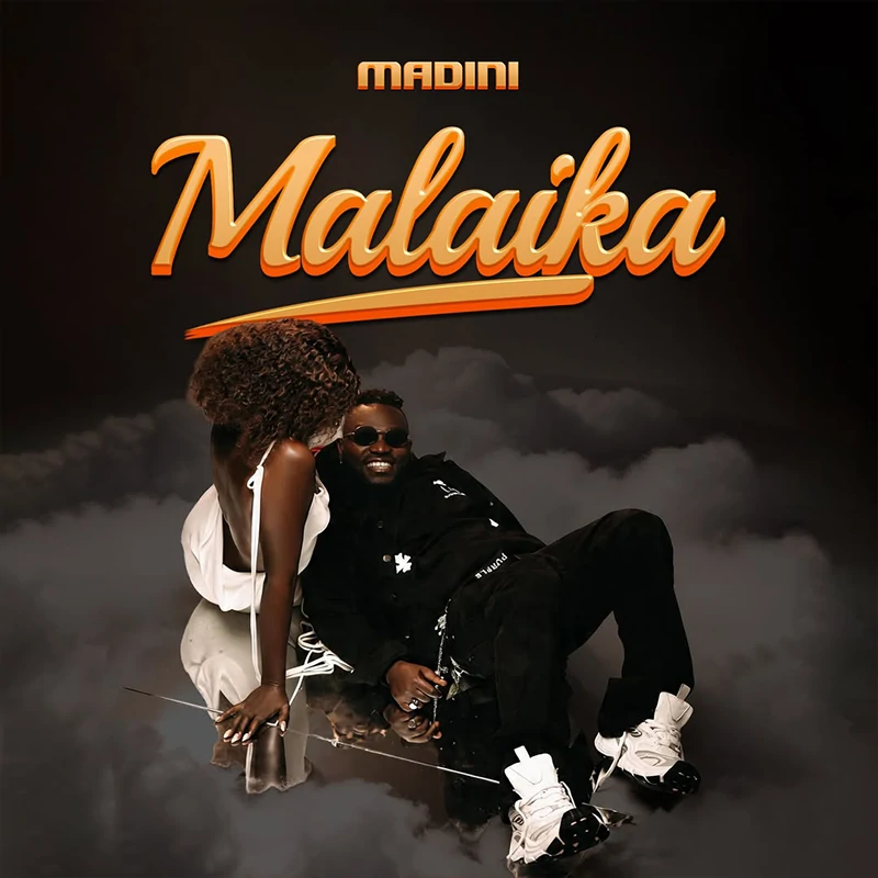 Madini - Malaika (Official Audio Cover 2025)