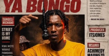Achimedy Mauwezo - Maisha Ya Bongo (Official Audio Cover 2026)