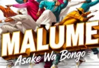 Asake Wa Bongo - Malume (Official Audio Cover 2026)
