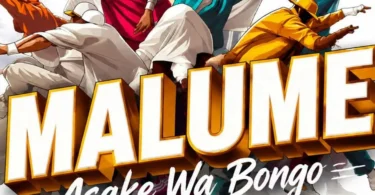 Asake Wa Bongo - Malume (Official Audio Cover 2026)
