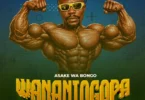 Asake Wa Bongo - Wananiogopa (Official Audio Cover 2026)