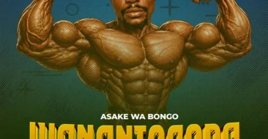 Asake Wa Bongo - Wananiogopa (Official Audio Cover 2026)