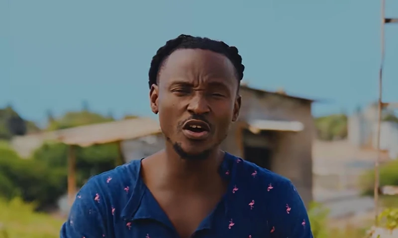 Barnaba – Najipambania (Official Audio Cover 2026)