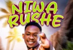 Champion Mr Vibe - Niwalushe (Official AudIO cOVER 2026)
