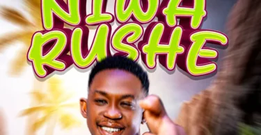 Champion Mr Vibe - Niwalushe (Official AudIO cOVER 2026)