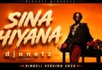 DJ One Tz Ft. Saluh - Hiyana Singeli Beat (Official Audio Cover 2026)