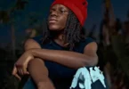 Dogo Rema – I Love You (Official Audio Cover 2026)