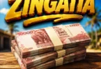 Dogo Ziro - Zingatia (Official Audio Cover 2026)