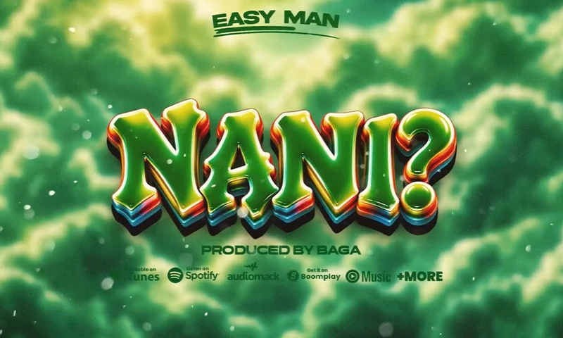 Easy Man - Nani (Official Audio Cover 2026)