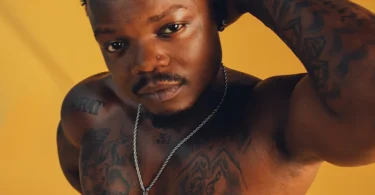 Harmonize – Jua Langu (Official Audio Cover 2026)