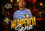 Kibo travellar - nilimpenda (Official Audio Cover 2026)