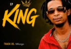 Lemon King - Mikogo (Official Audio Cover 2026)
