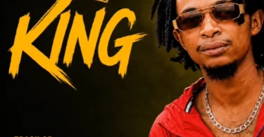 Lemon King - Mikogo (Official Audio Cover 2026)