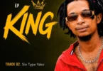 Lemon King - Sio Type Yako (Official Audio Cover 2026)