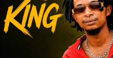 Lemon King - Sio Type Yako (Official Audio Cover 2026)