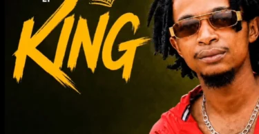 Lemon King - Wa 2000 Wazee (Official Audio Cover 2026)