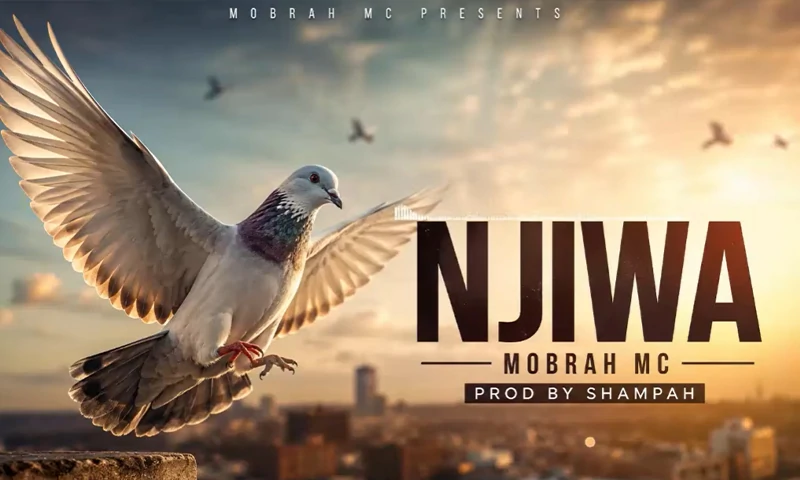 Mobrah Mc - NJIWA (Official Audio Cover 2026)