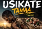 Mr Force - USIKATE TAMAA (Official Audio Cover 2026)